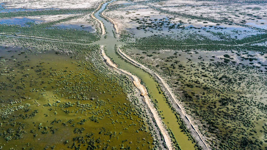 شبح التصحر يهدد ما تبقى من أراضي العراق الزراعية ومواشيه